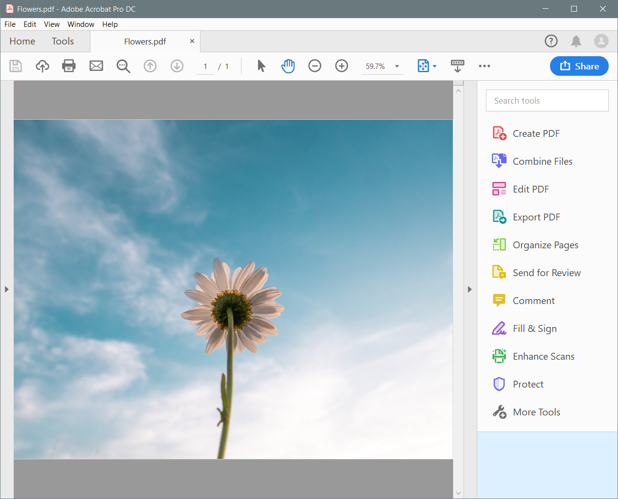 how to change pdf to jpg in windows 10