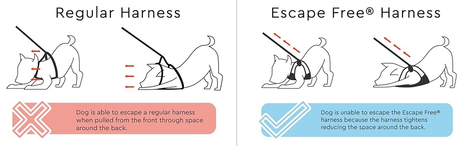 gooby simple step in harness instructions