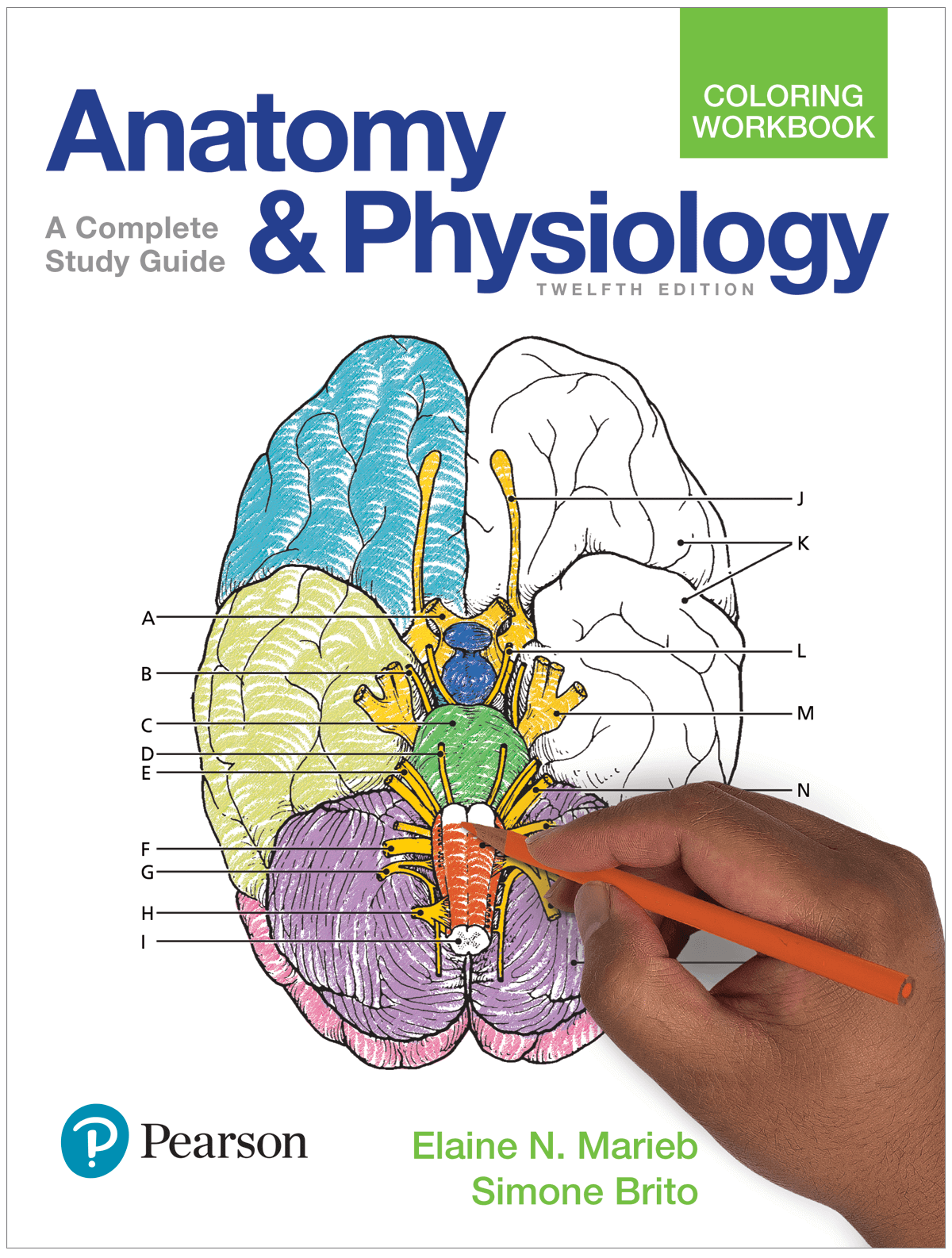 essentials of human anatomy and physiology 12th edition marieb pdf