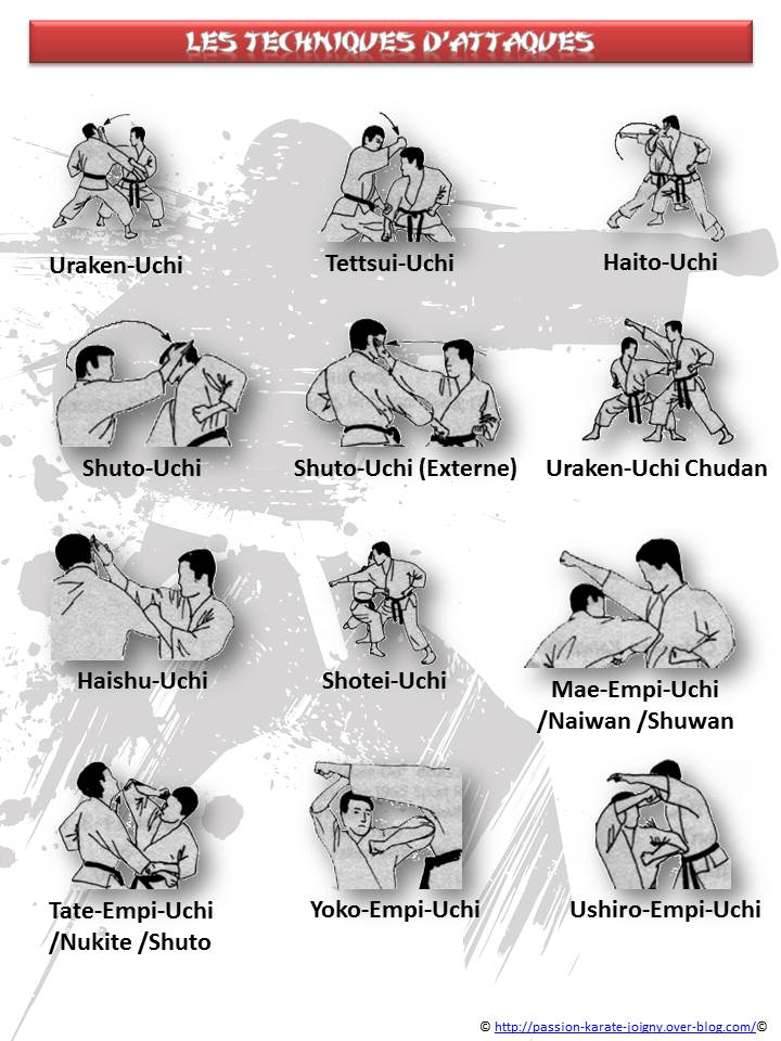 karate techniques pdf