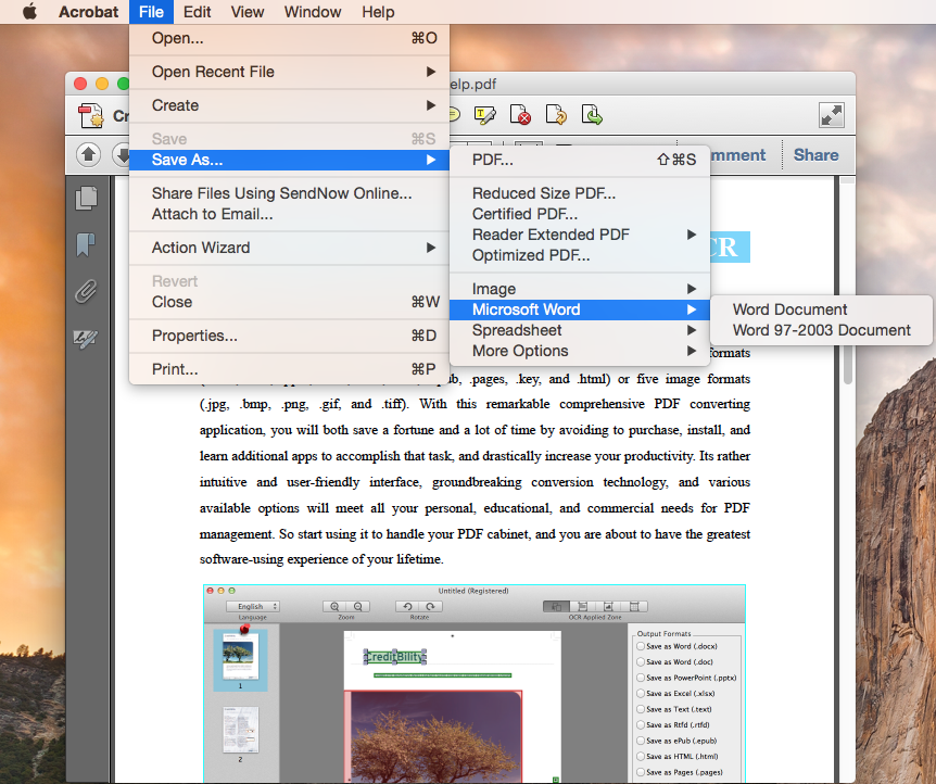how to convert pdf to png adobe