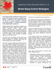 effective crime prevention strategies pdf