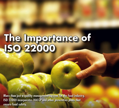 iso food safety standards pdf